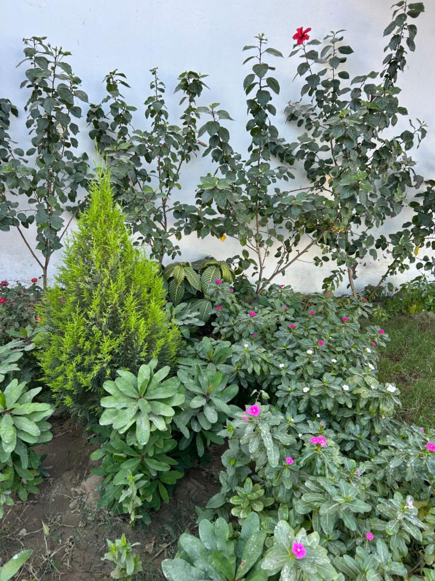 Appartement Lemon Tree Luxor