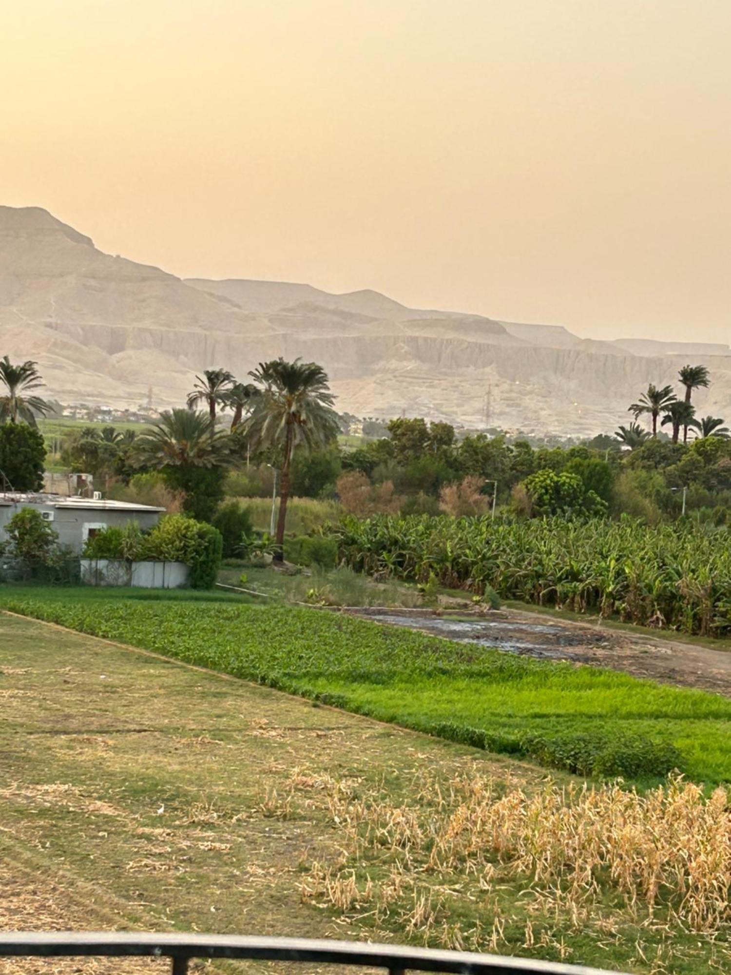 Appartement Lemon Tree Luxor